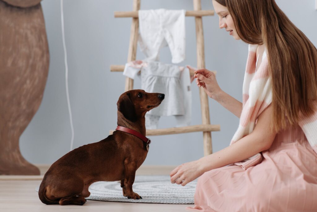 A Woman Training Their Dog